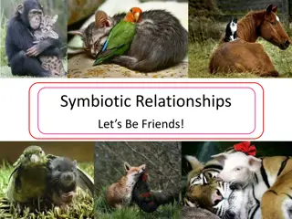 Symbiotic Relationships in Nature