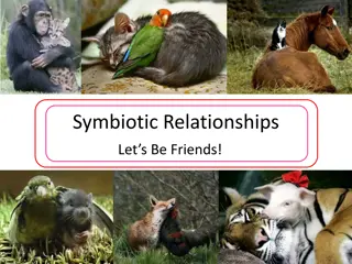 Understanding Symbiotic Relationships in Nature