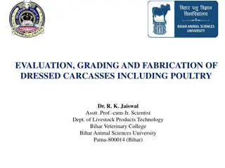 Overview of Carcass Evaluation and Grading in Livestock Processing