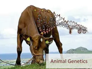 Understanding Animal Genetics: A Comprehensive Overview