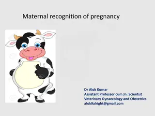 Maternal Recognition of Pregnancy in Veterinary Gynaecology