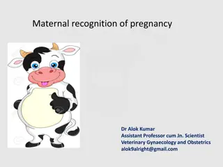Understanding Maternal Recognition of Pregnancy in Veterinary Gynaecology