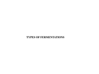 Different Types of Fermentations