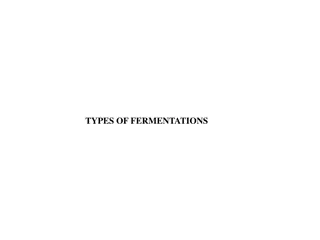 Understanding Different Types of Fermentations