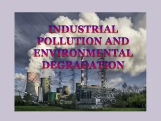 Different Types of Pollution and Ways to Combat Them