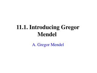 Legacy of Gregor Mendel: Pioneer of Genetics