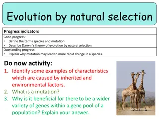 Understanding Evolution by Natural Selection