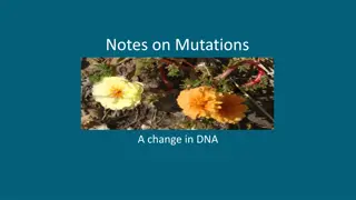 Mutations in DNA and Their Effects