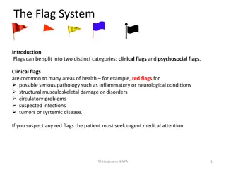 The Flag System: Identifying Clinical and Psychosocial Flags in Health Settings
