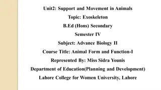 Structure and Function of Exoskeletons in Animals