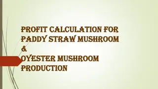 Mushroom Production Profit Calculation and Business Models
