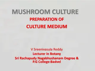 Mushroom Culture: Preparation of Culture Medium and Edible Mushroom Examples