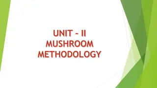 Mushroom Types and Characteristics