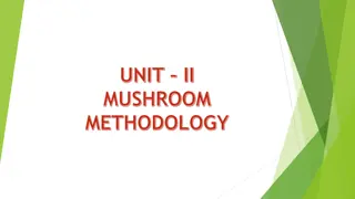 Understanding Mushroom Types and Characteristics