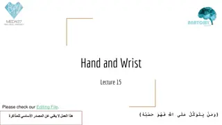Anatomy of Hand and Wrist: Structures and Functions Overview