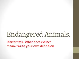 Endangered Animals and Extinction