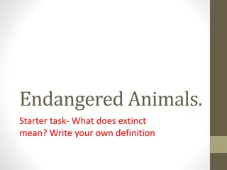 Understanding Endangered Animals and Extinction