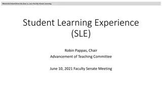 Faculty Senate Meeting Highlights on Student Learning Experience (SLE) Pilot and Implementation
