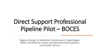 Innovative Direct Support Professional Pipeline Pilot Program