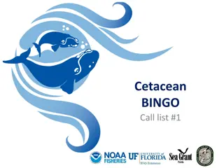 The World of Cetaceans with Cetacean BINGO Call List