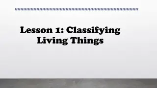 Understanding Living Things: An Overview of Classification