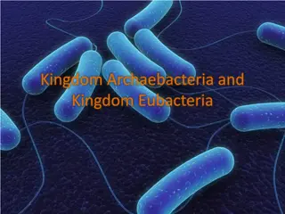 Contrasting Kingdoms: Archaebacteria vs Eubacteria
