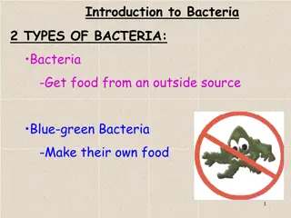 Exploring the Fascinating World of Bacteria: Types, Shapes, and Structures