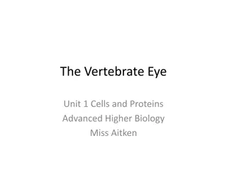 Exploring the Intricacies of Vertebrate Eye Biology