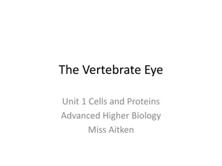 The Intricacies of Vertebrate Eye Biology