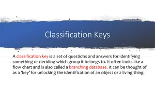 Classification Keys for Identifying and Sorting Things