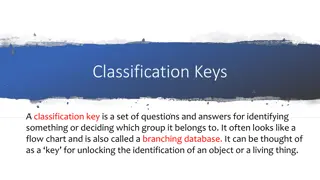 Understanding Classification Keys for Identifying and Sorting Things