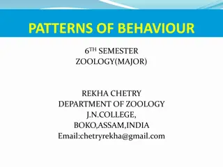 Patterns of Behaviour in Zoology: An Overview