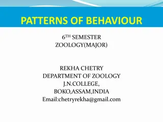 Understanding Patterns of Behaviour in Zoology: An Overview
