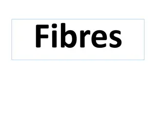 Understanding Fibres: Types, Classification, and Identification