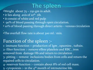 Understanding the Functions and Injuries of the Spleen