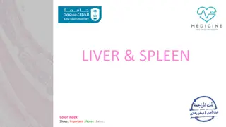 Histological Structure of Liver and Spleen: Key Features and Functions