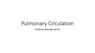 Pulmonary Circulation and Its Importance in Respiratory Physiology