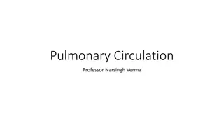 Understanding Pulmonary Circulation and Its Importance in Respiratory Physiology