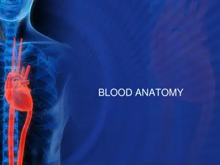 Understanding Blood Anatomy and Functions