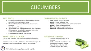 Fascinating Facts About Cucumbers and Fun Activities to Explore