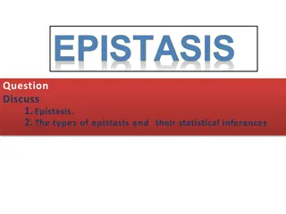 Understanding Epistasis: Types and Inferences