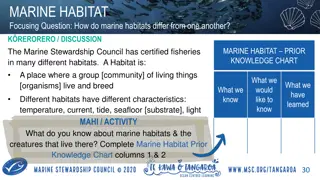 Marine Habitats and Their Diverse Ecosystems