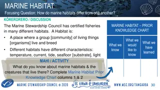 Understanding Marine Habitats and Their Diverse Ecosystems