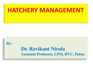 Efficient Poultry Hatchery Management Insights by Dr. Ravikant Nirala
