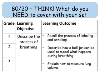 Understanding the Process of Breathing: Inhaling and Exhaling Explained