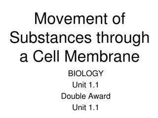 Movement of Substances Through Cell Membrane