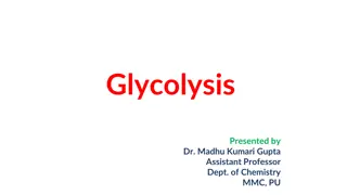 Glycolysis: The Initial Step in Glucose Breakdown