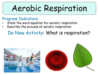 Aerobic Respiration and Cell Structures