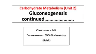 Gluconeogenesis: Pyruvate to Phosphoenolpyruvate Conversion in Carbohydrate Metabolism