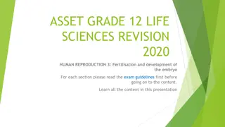 Human Reproduction: Fertilisation and Embryo Development Overview